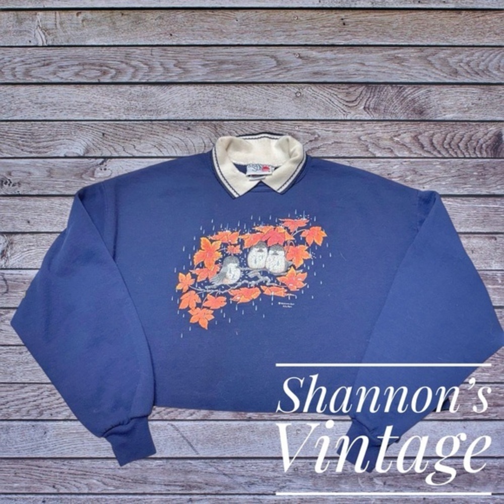 Morning Sun VNTG 80s made in USA sz XL Raw Hem Crop Rainy Birds Sweater A47